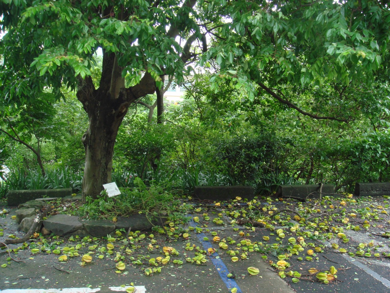 12009-4-6-8-45-40-pic1.jpg