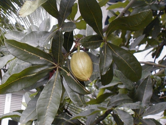 12009-4-6-8-47-5-pic1.jpg