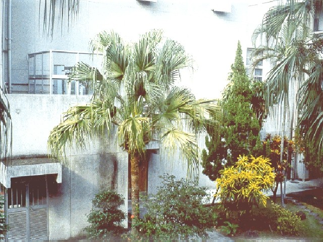 12009-4-6-8-48-24-pic1.jpg