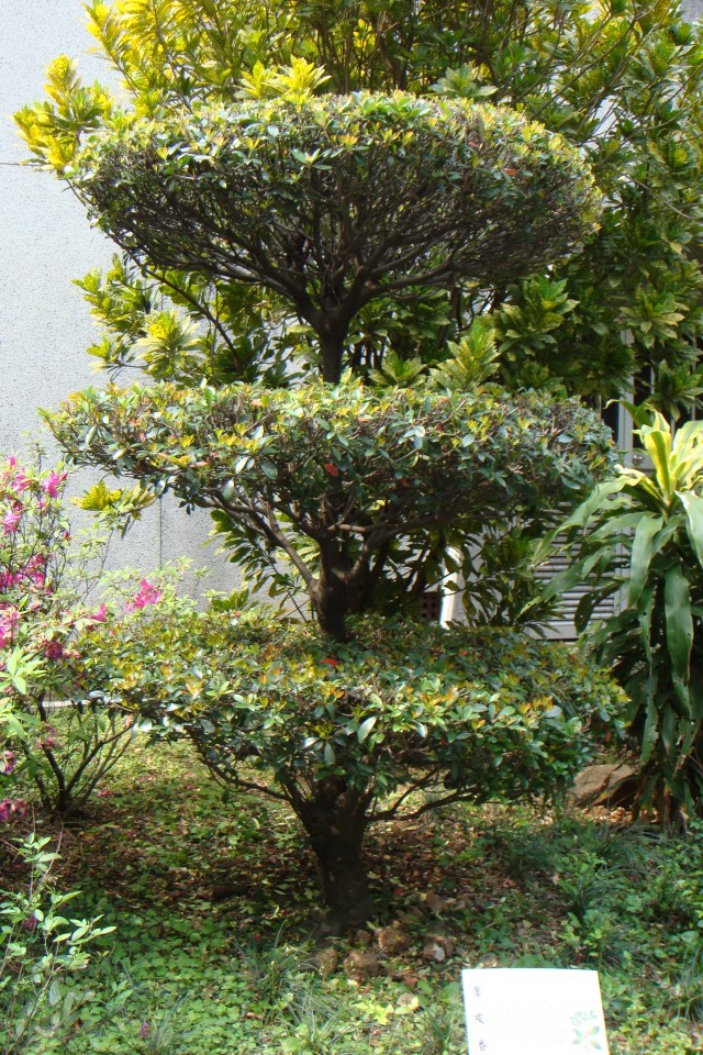 12009-4-6-8-52-0-pic1.jpg