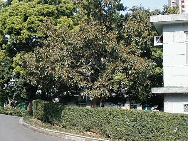 12009-4-6-8-53-54-pic1.jpg