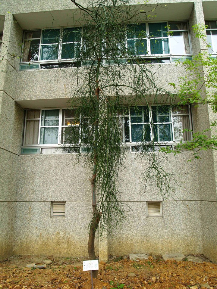 12009-4-6-8-55-5-pic1.jpg