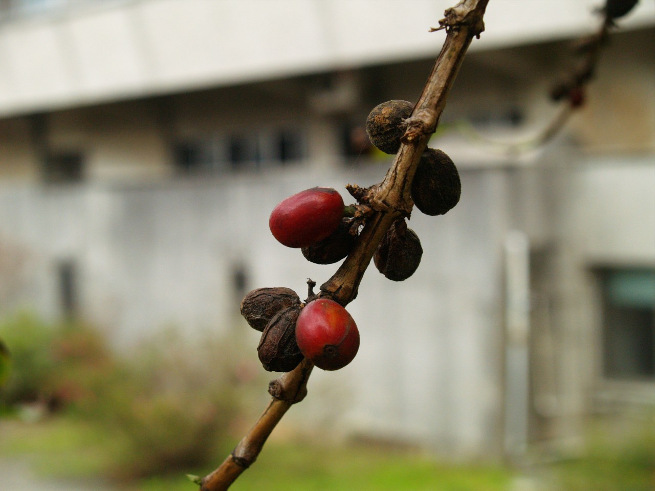 12009-4-6-9-0-32-pic1.jpg