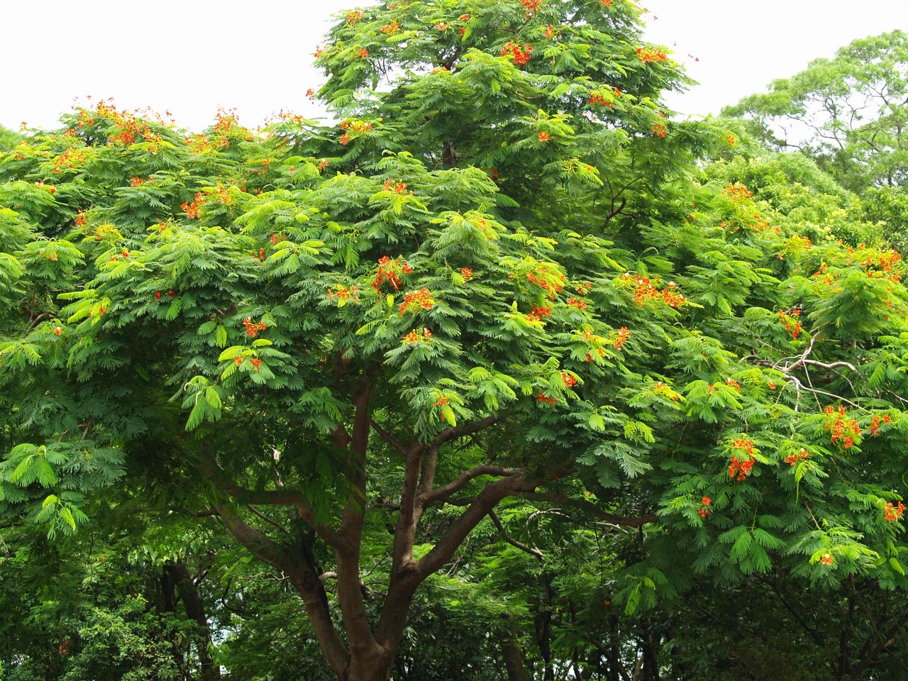 12009-4-6-9-23-53-pic1.jpg