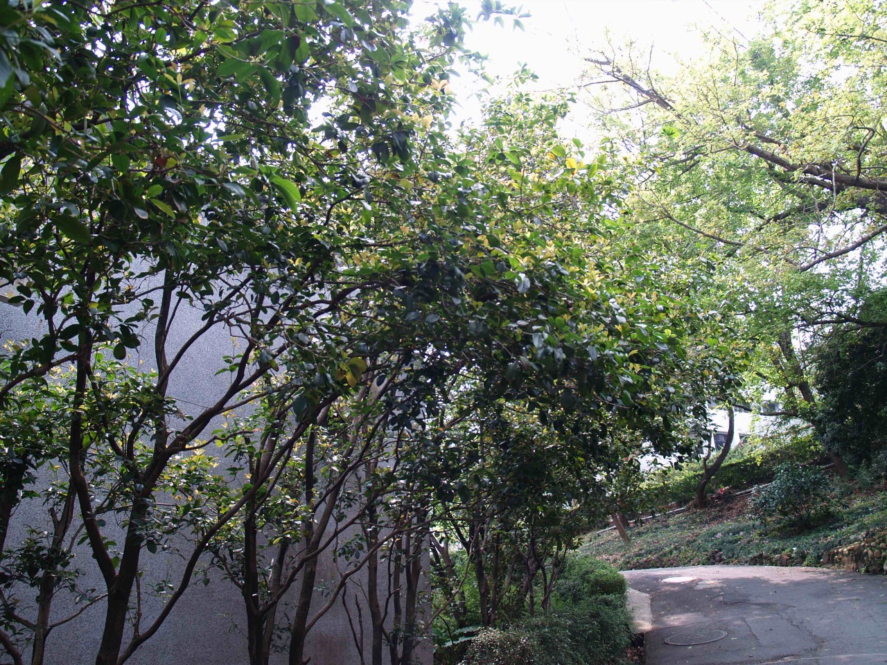 12009-4-6-9-24-38-pic1.jpg