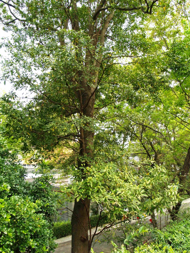 12009-4-6-9-25-19-pic1.jpg