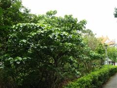 12009-4-6-9-26-6-pic1.jpg