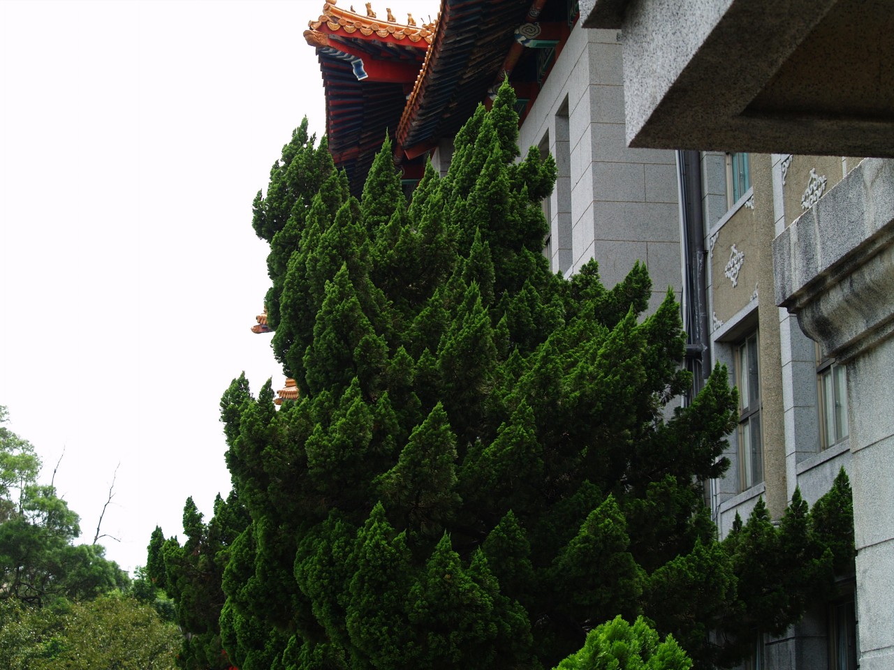 2009-4-6-9-1-45-pic1.jpg