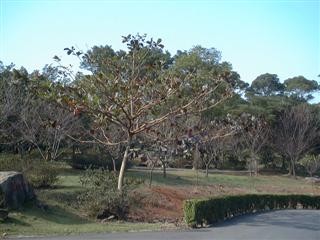 2009-4-6-9-28-32-pic1.jpg