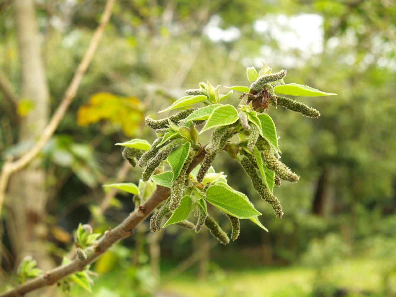 22009-4-6-8-44-18-pic1.jpg