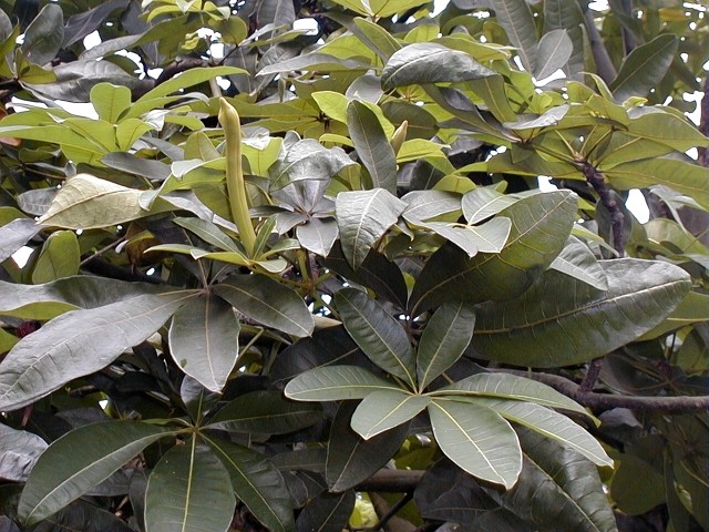 22009-4-6-8-47-5-pic1.jpg