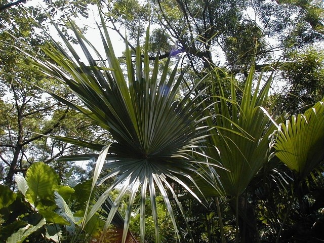 22009-4-6-8-48-24-pic1.jpg