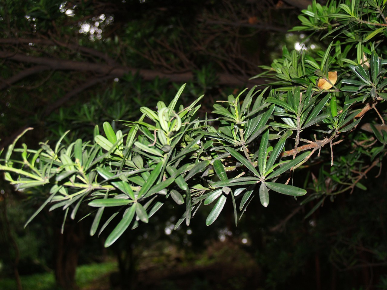 22009-4-6-8-49-45-pic1.jpg