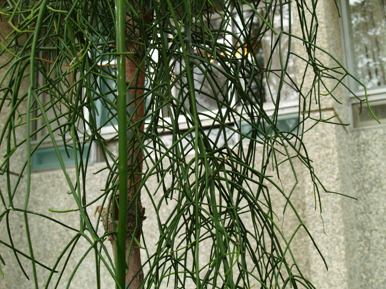 22009-4-6-8-55-5-pic1.jpg