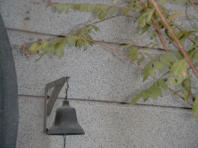 22009-4-6-8-56-26-pic1.jpg