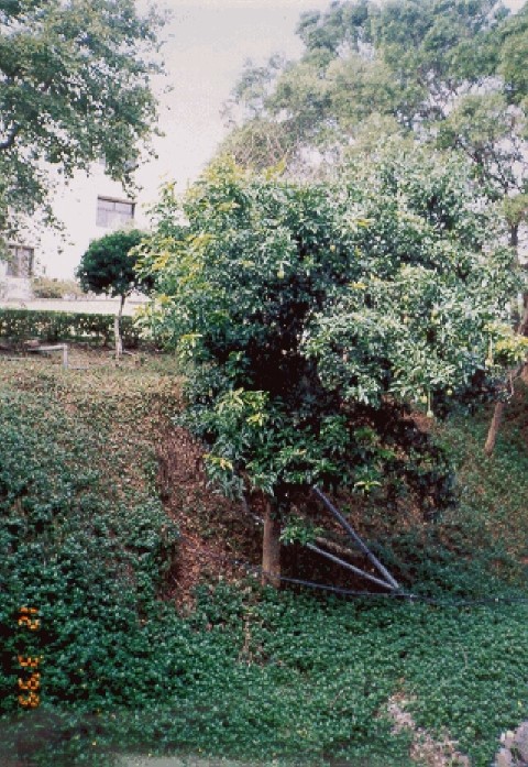 22009-4-6-8-59-30-pic1.jpg