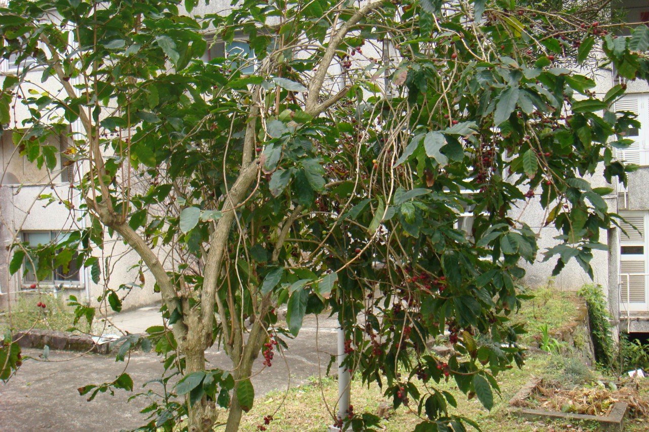 22009-4-6-9-0-32-pic1.jpg