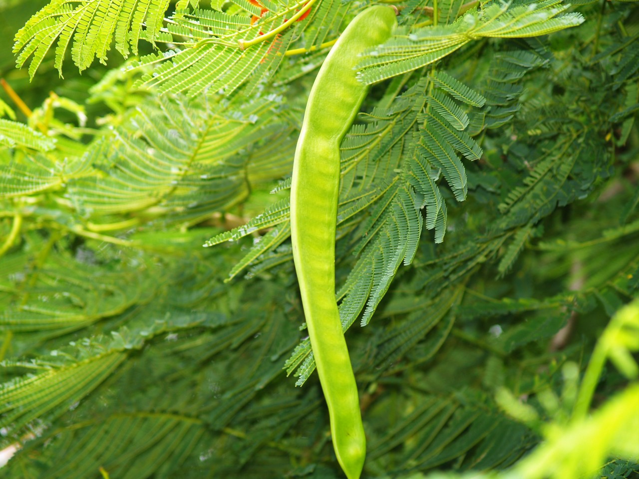 22009-4-6-9-23-53-pic1.jpg