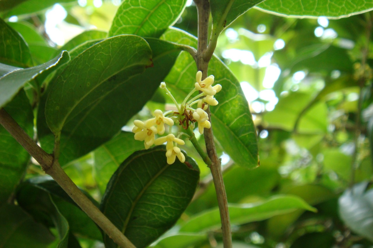 22009-4-6-9-24-38-pic1.jpg