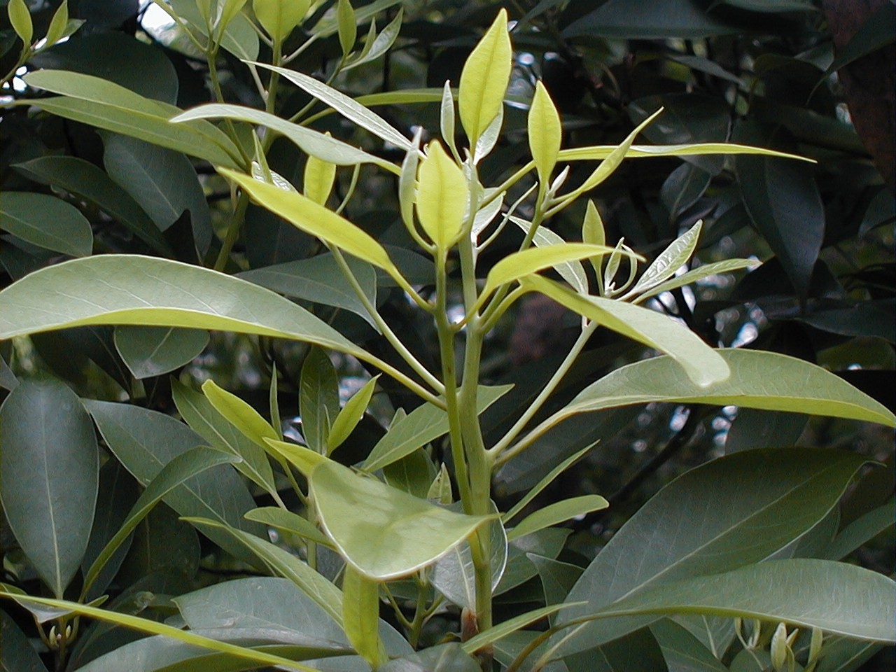 22009-4-6-9-25-19-pic1.jpg