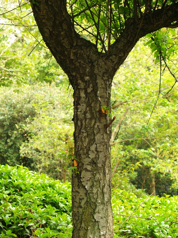 22009-4-6-9-3-22-pic1.jpg