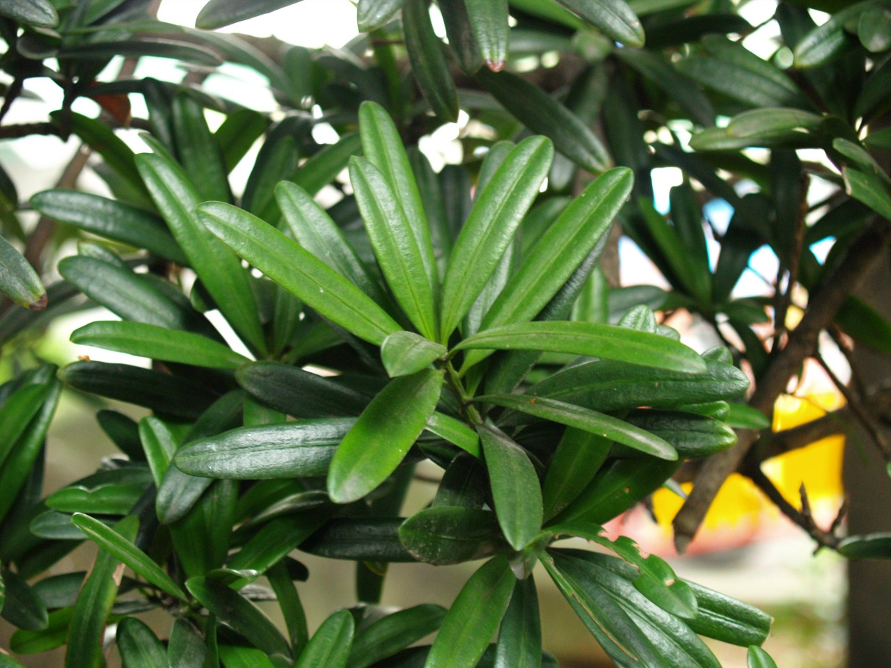 32009-4-6-8-49-45-pic1.jpg