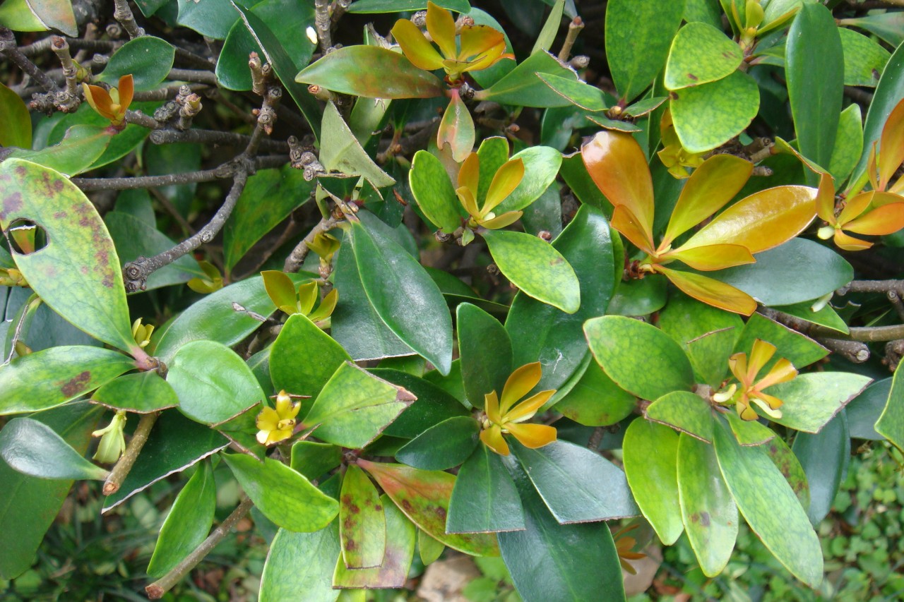 32009-4-6-8-52-0-pic1.jpg