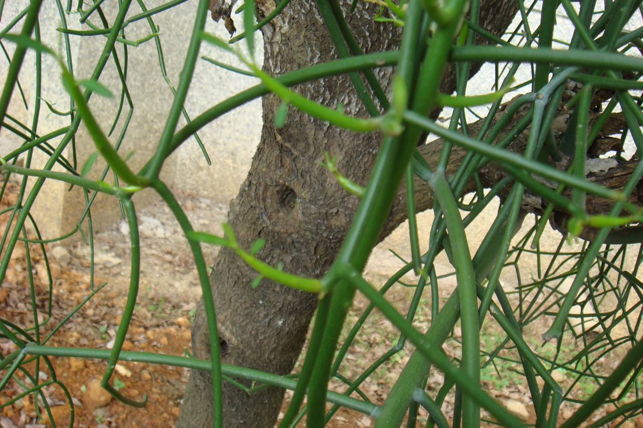 32009-4-6-8-55-5-pic1.jpg