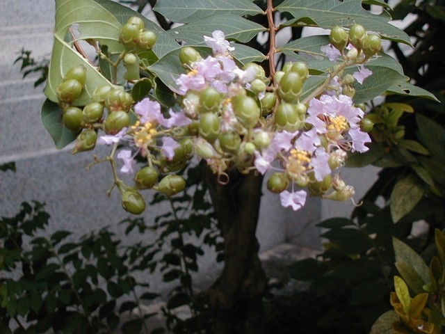 32009-4-6-8-56-26-pic1.jpg