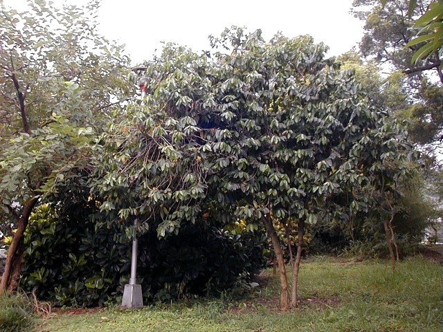 32009-4-6-9-0-32-pic1.jpg