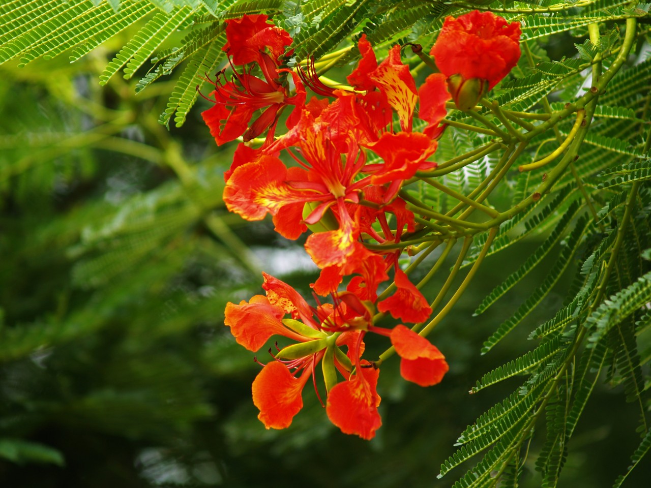 32009-4-6-9-23-53-pic1.jpg