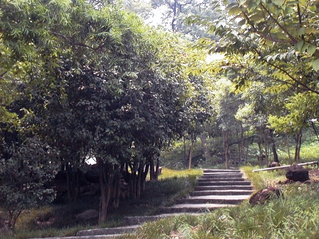 32009-4-6-9-24-38-pic1.jpg