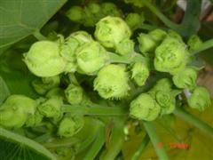 32009-4-6-9-26-6-pic1.jpg