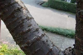 32009-4-6-9-27-40-pic1.jpg