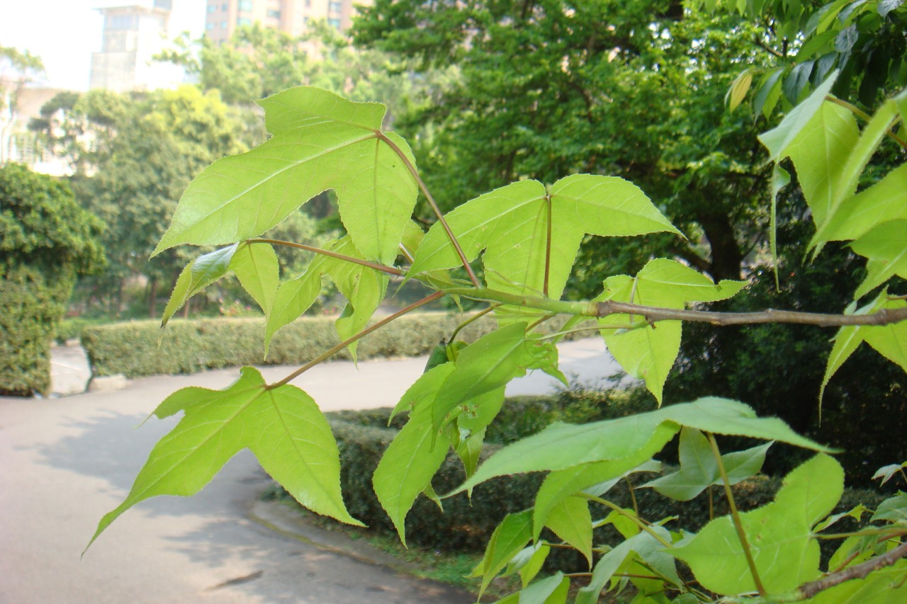 32009-4-6-9-3-22-pic1.jpg