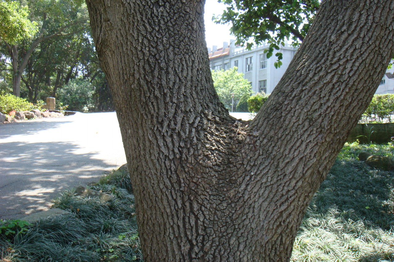 32009-4-6-9-7-34-pic1.jpg