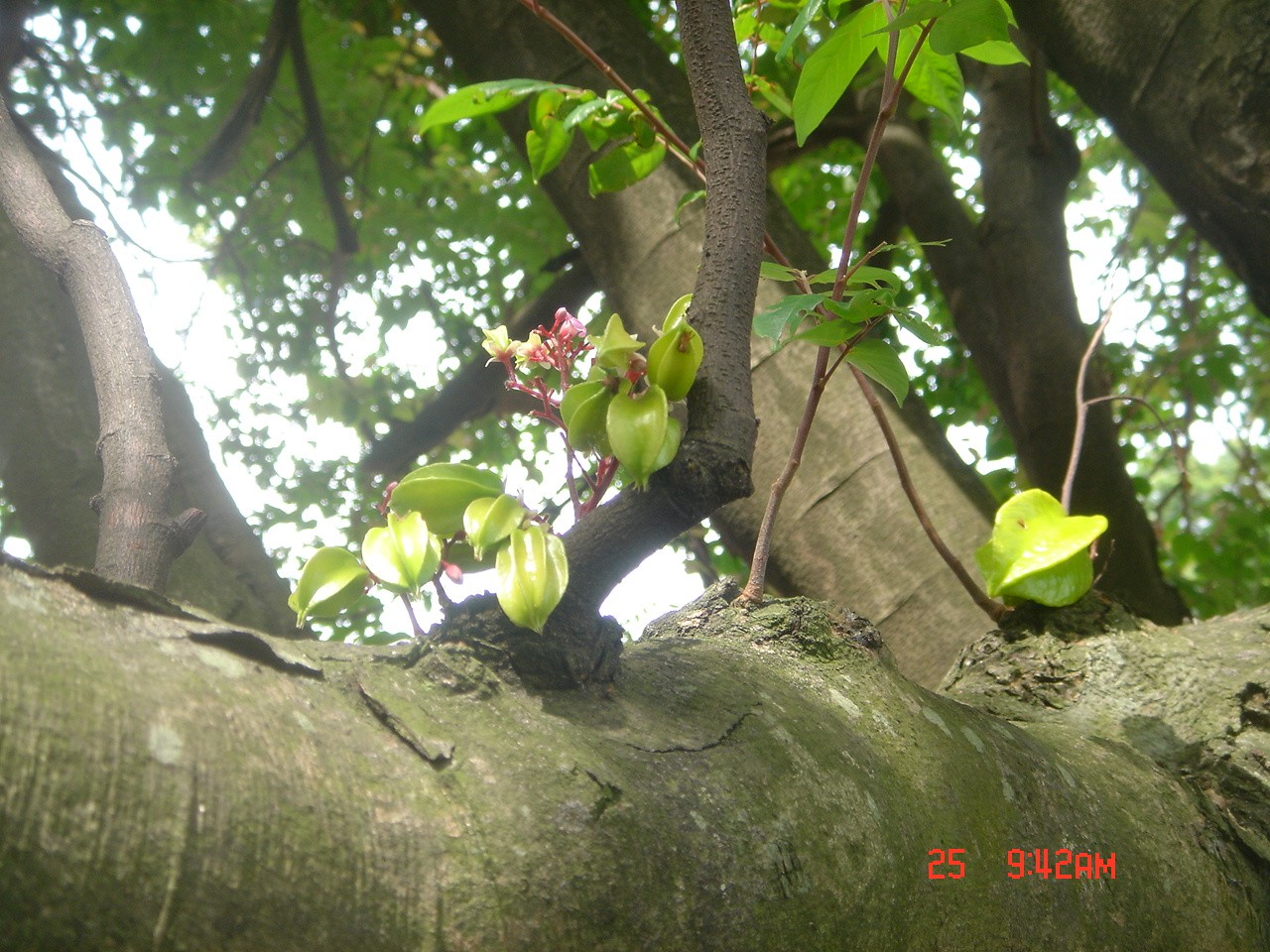 42009-4-6-8-45-40-pic1.jpg