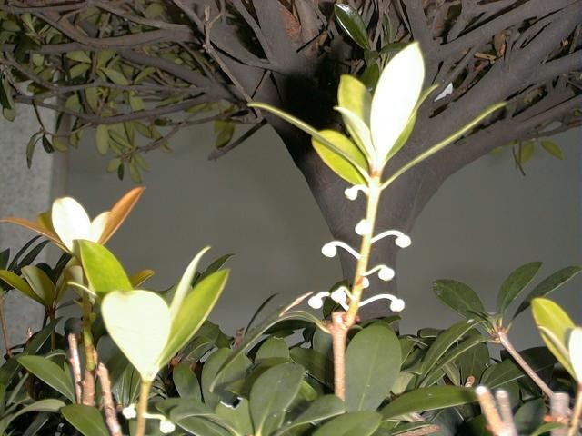 42009-4-6-8-52-0-pic1.jpg