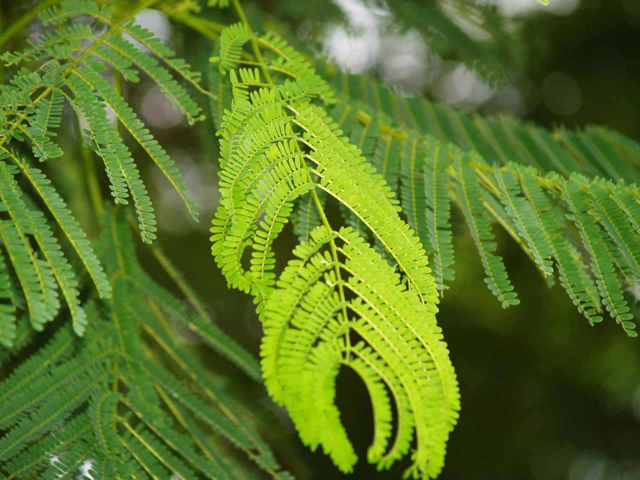 42009-4-6-9-23-53-pic1.jpg