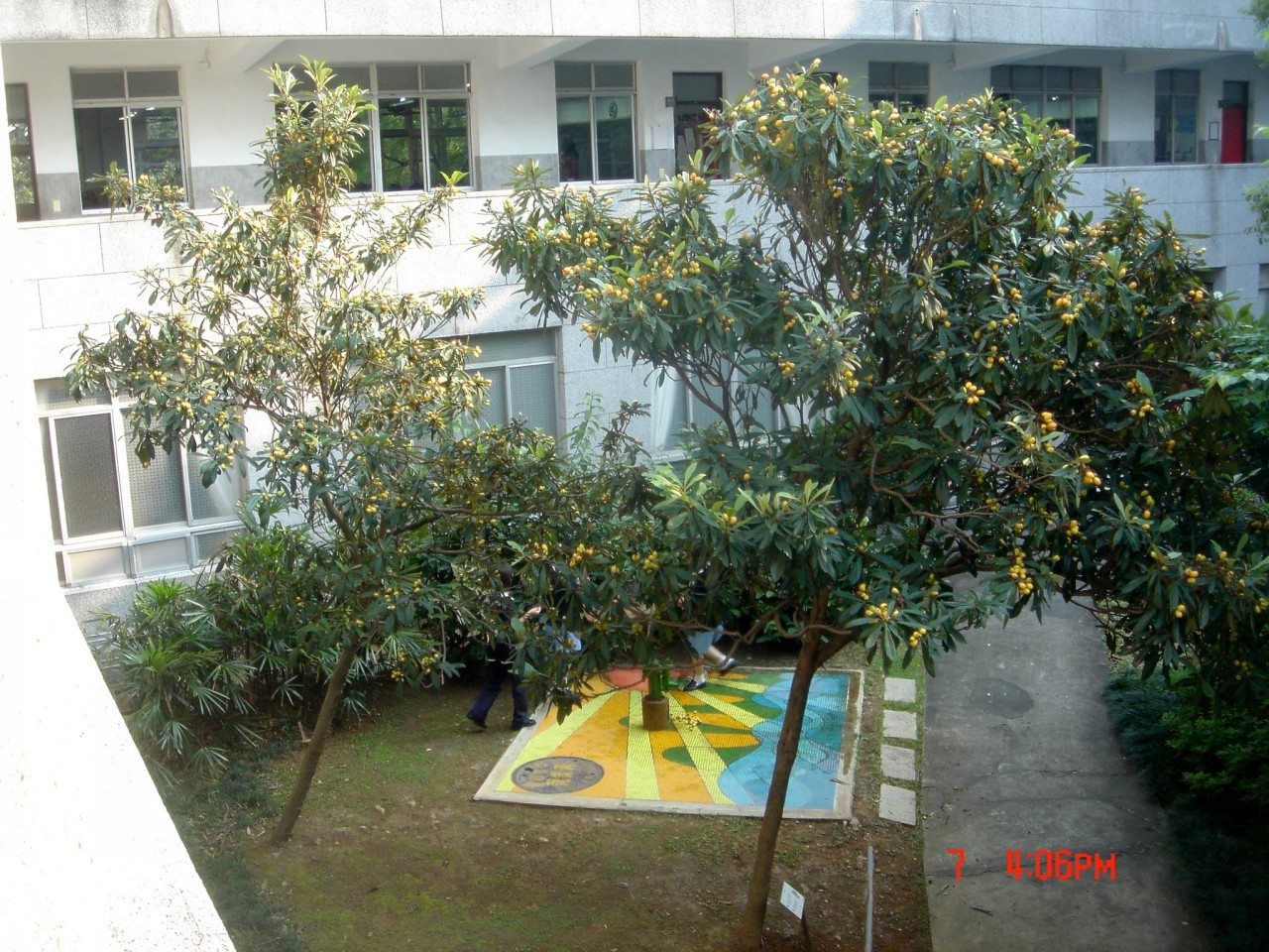 52009-4-6-8-58-33-pic1.jpg