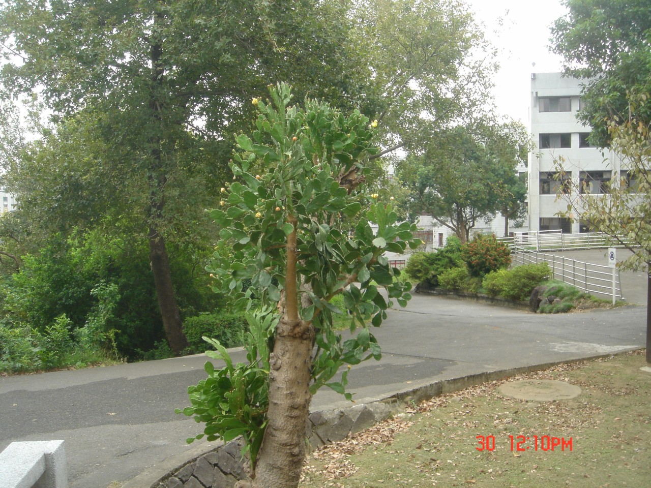 10601.jpg