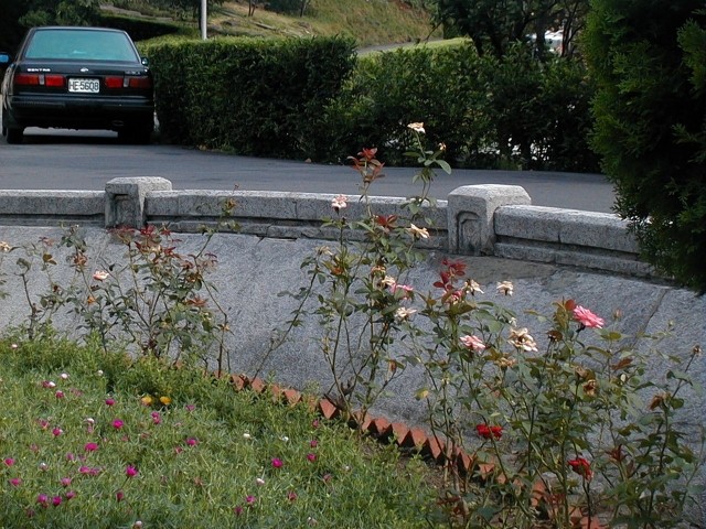 10711.jpg