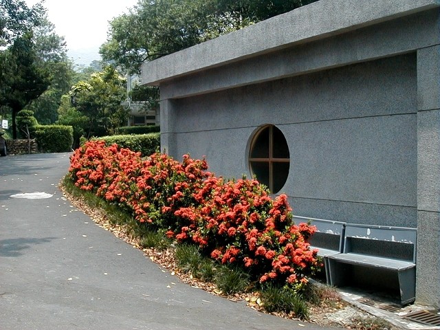 10802.jpg