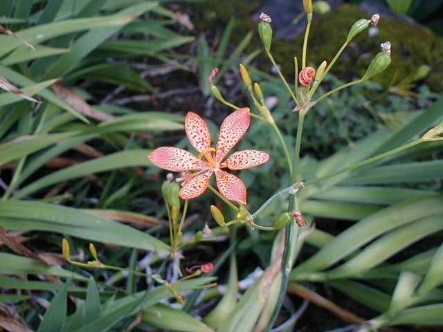 12009-4-6-9-31-30-pic1.jpg