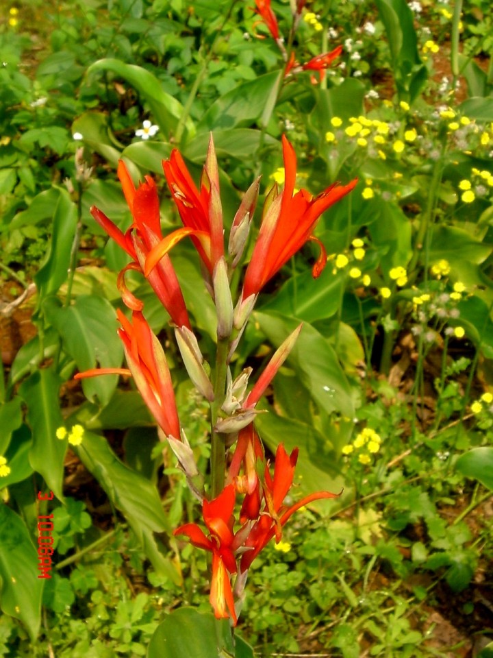 12009-4-6-9-35-45-pic1.jpg
