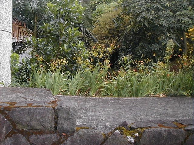 22009-4-6-9-31-30-pic1.jpg
