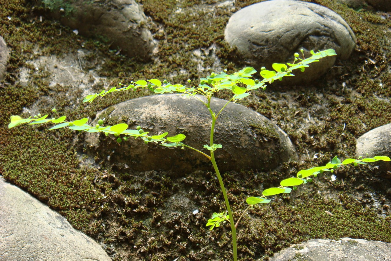 22009-4-6-9-33-20-pic1.jpg