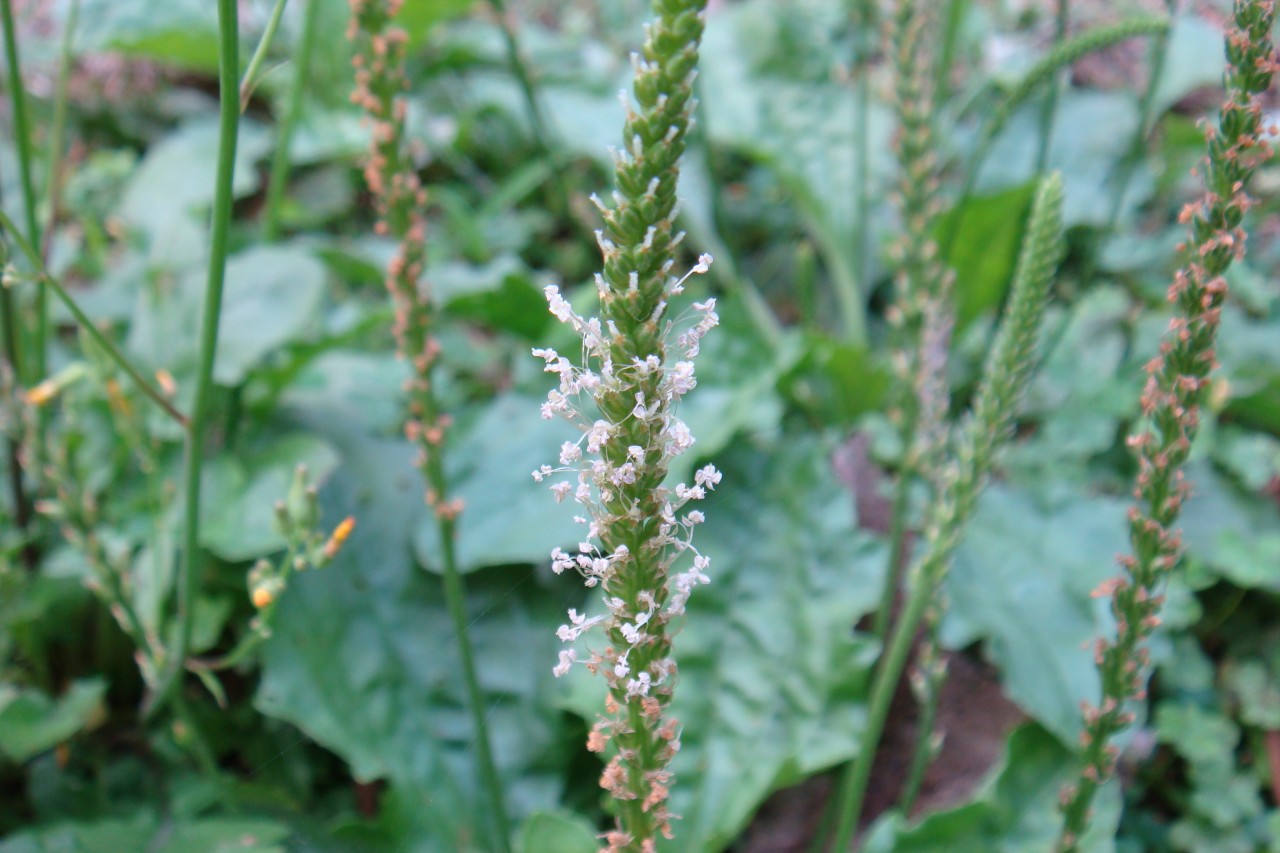 22009-4-6-9-36-56-pic1.jpg