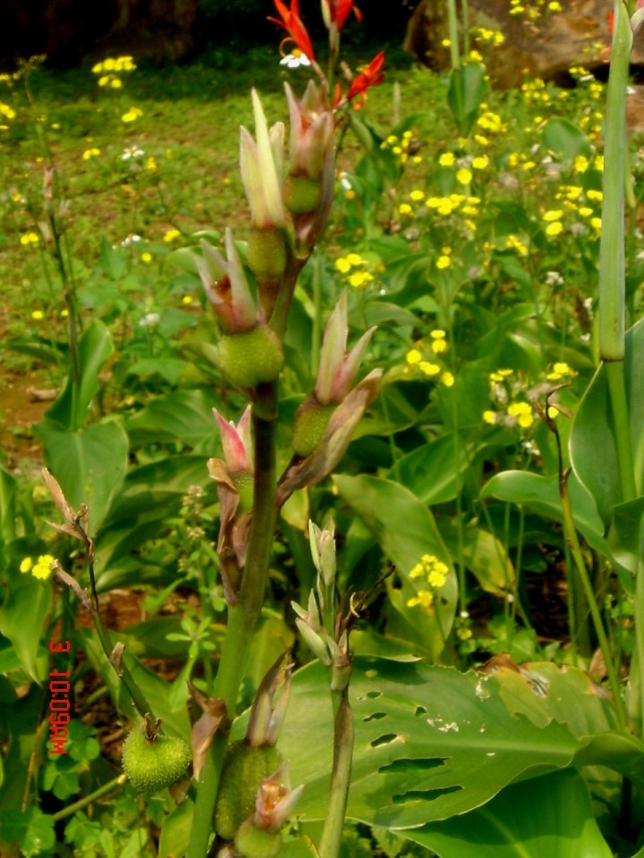 42009-4-6-9-35-45-pic1.jpg