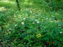 42009-4-6-9-39-32-pic1.jpg